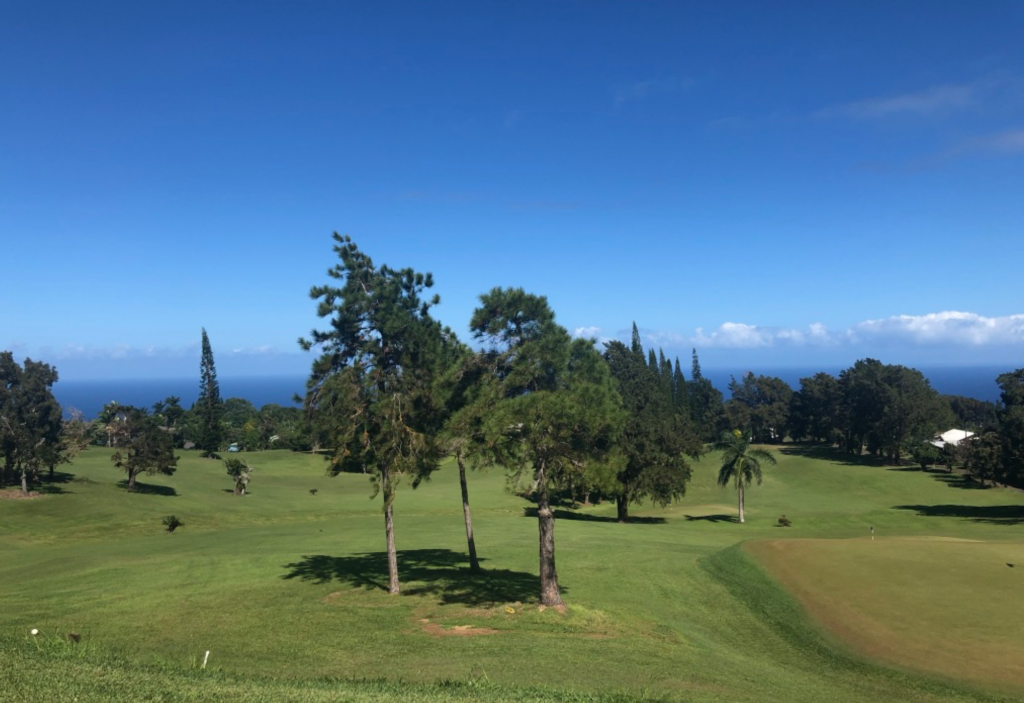 Big Island Golf 10