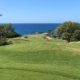 Big Island Golf 29