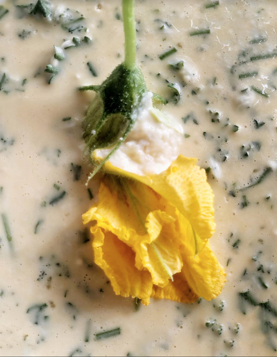 Italian Cheese Stuffed Squash Blossoms Taste Topics