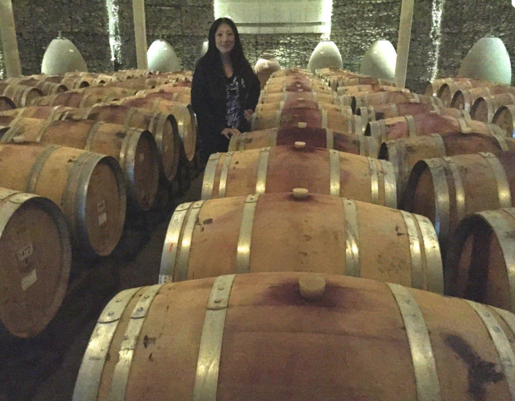 Wine Tourism Chile - Matetic Vineyard 2