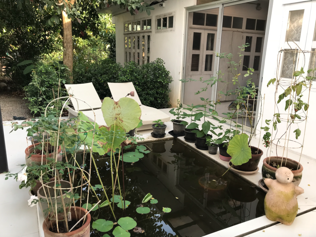 Where to stay in Chiang Mai 2