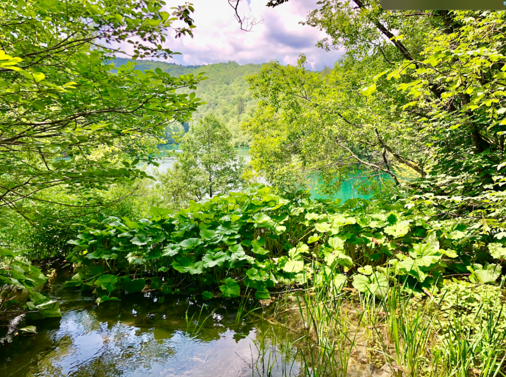 Best way to visit enchanting Plitvice Lakes 15