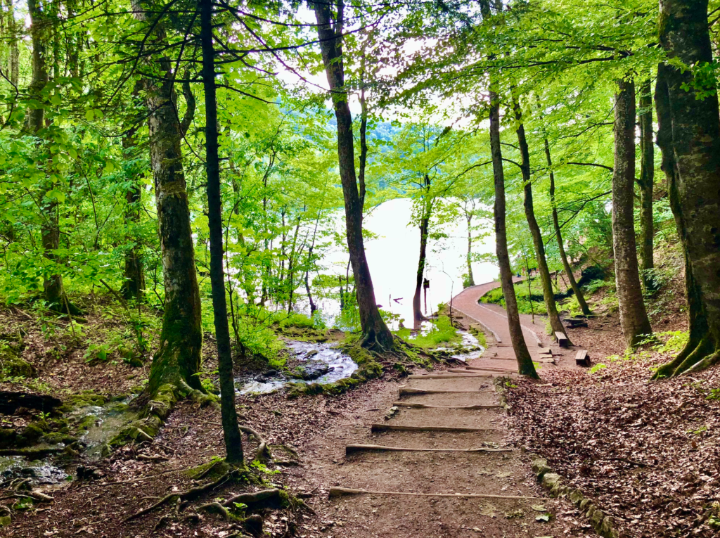 Best way to visit enchanting Plitvice Lakes 4